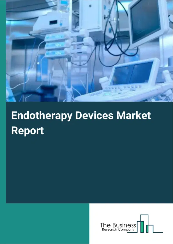 Global Endotherapy Devices Market Report 2026 Global Endotherapy Devices Market Report 2026