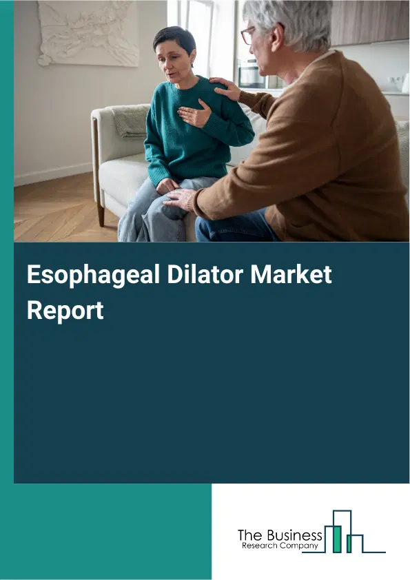 Global Esophageal Dilator Market Report 2026 Global Esophageal Dilator Market Report 2026