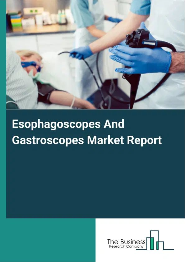 Global Esophagoscopes And Gastroscopes Market Report 2026 Global Esophagoscopes And Gastroscopes Market Report 2026