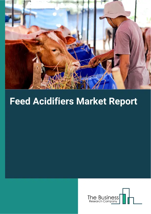 Global Feed Acidifiers Market Report 2026 Global Feed Acidifiers Market Report 2026