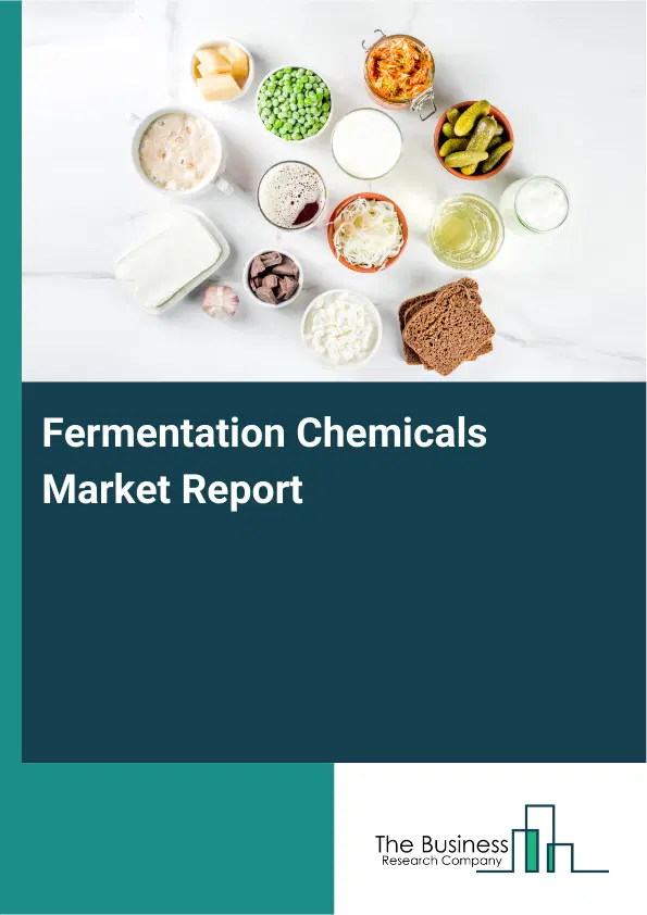 Global Fermentation Chemicals Market Report 2026 Global Fermentation Chemicals Market Report 2026