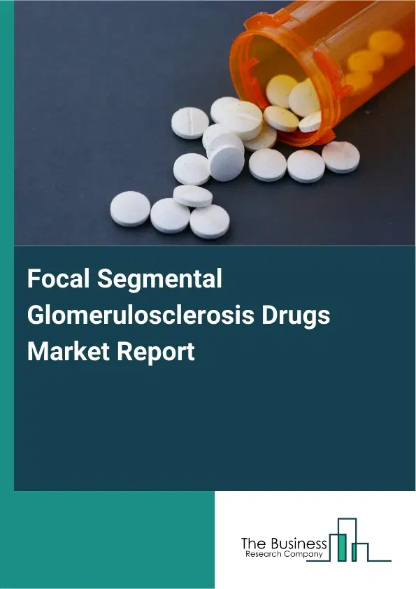 Global Focal Segmental Glomerulosclerosis Drugs Market Report 2026 Global Focal Segmental Glomerulosclerosis Drugs Market Report 2026