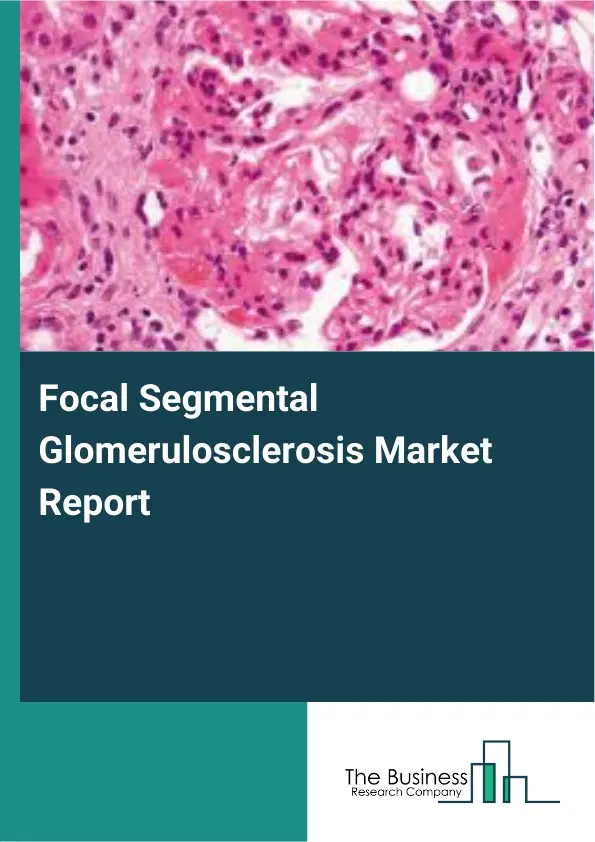 Global Focal Segmental Glomerulosclerosis Market Report 2026 Global Focal Segmental Glomerulosclerosis Market Report 2026