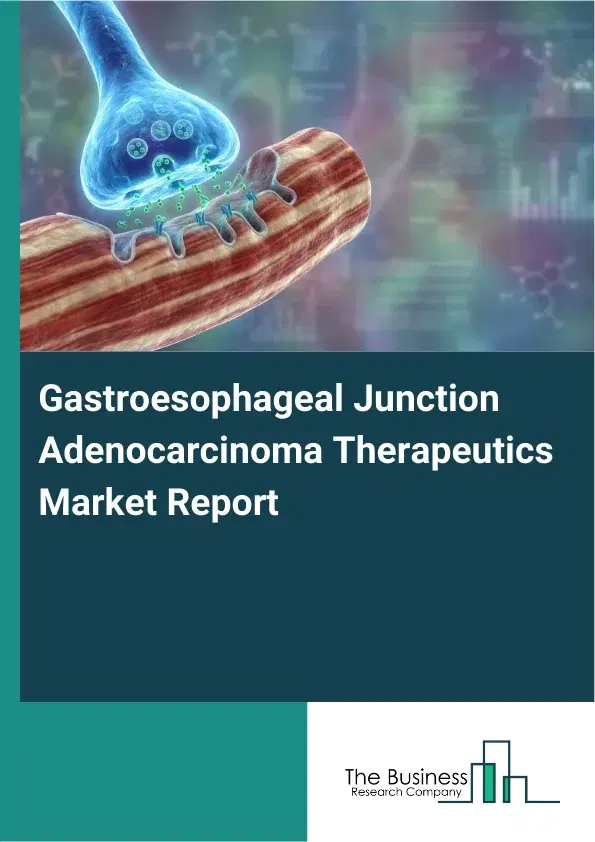Global Gastroesophageal Junction Adenocarcinoma Therapeutics Market Report 2026 Global Gastroesophageal Junction Adenocarcinoma Therapeutics Market Report 2026