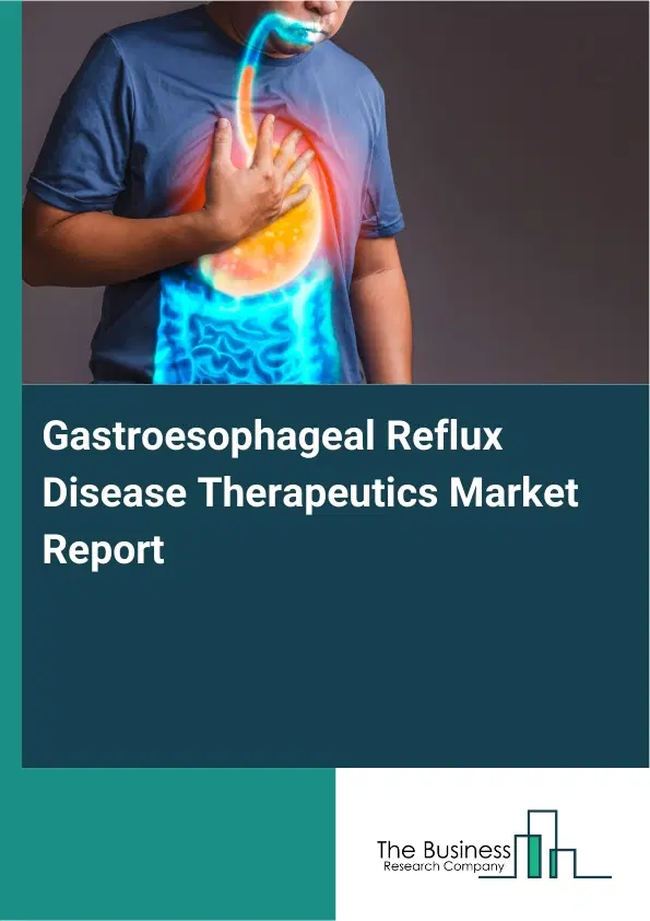 Global Gastroesophageal Reflux Disease Therapeutics Market Report 2026 Global Gastroesophageal Reflux Disease Therapeutics Market Report 2026