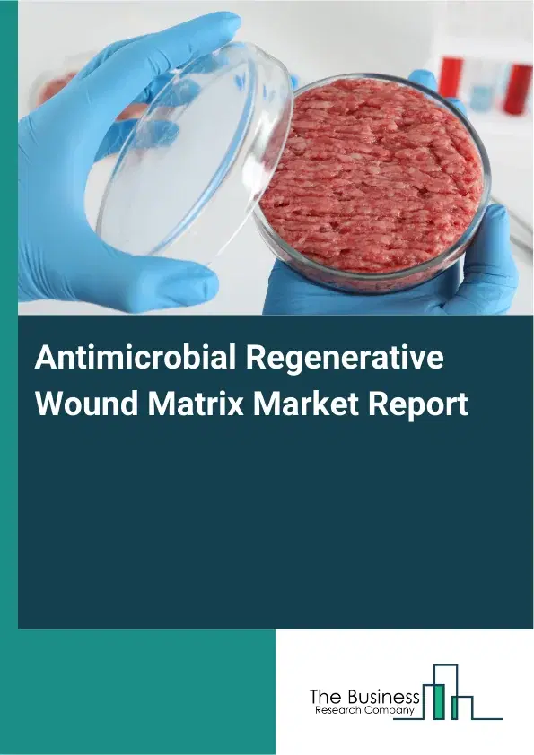 Global Antimicrobial Regenerative Wound Matrix Market Report 2026 Global Antimicrobial Regenerative Wound Matrix Market Report 2026