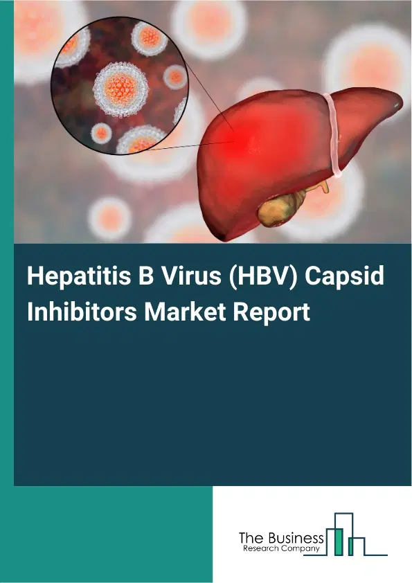 Global Hepatitis B Virus (HBV) Capsid Inhibitors Market Report 2026 Global Hepatitis B Virus (HBV) Capsid Inhibitors Market Report 2026