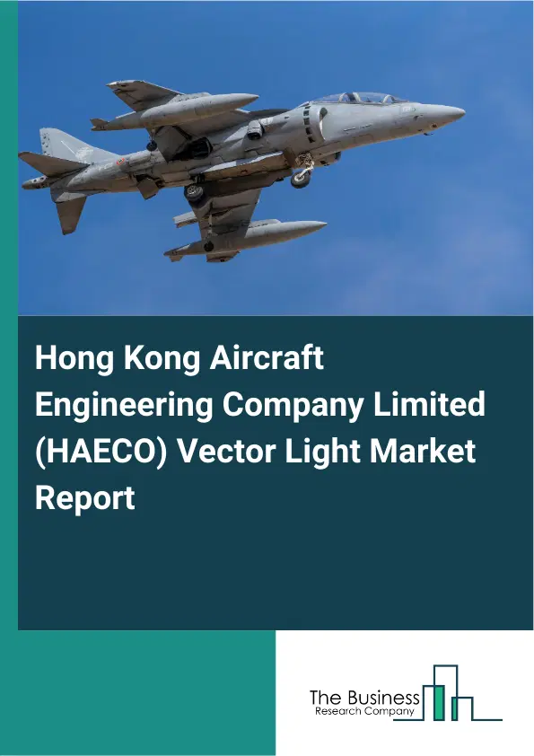 Hong Kong Aircraft Engineering Company Limited (HAECO) Vector Light Market Report 2026 Hong Kong Aircraft Engineering Company Limited (HAECO) Vector Light Market Report 2026