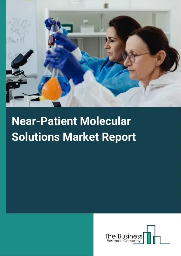 Global Near-Patient Molecular Solutions Market Report 2026 Global Near-Patient Molecular Solutions Market Report 2026