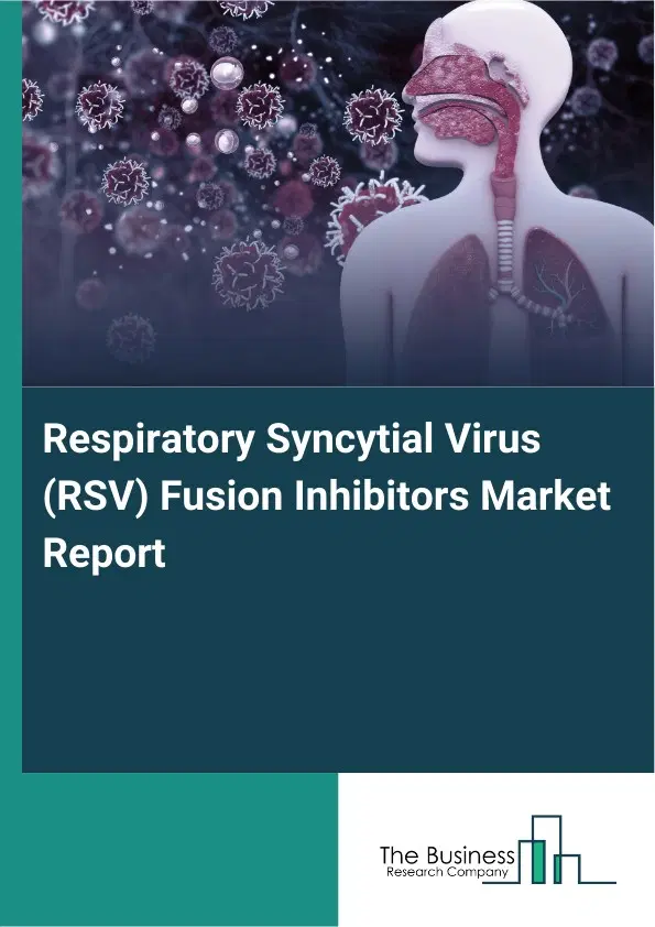 Global Respiratory Syncytial Virus (RSV) Fusion Inhibitors Market Report 2026 Global Respiratory Syncytial Virus (RSV) Fusion Inhibitors Market Report 2026