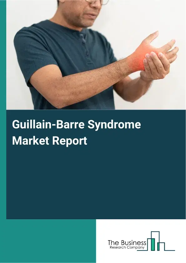Global Guillain-Barre Syndrome Market Report 2026 Global Guillain-Barre Syndrome Market Report 2026