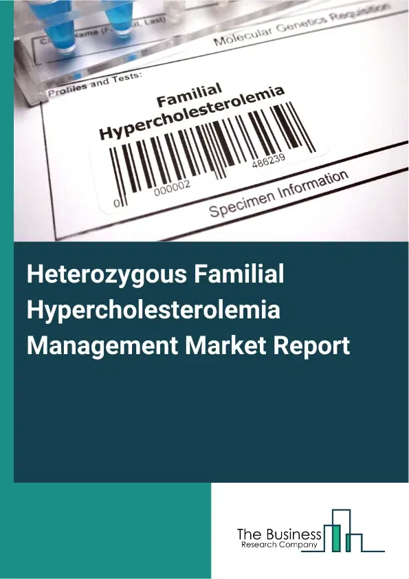 Global Heterozygous Familial Hypercholesterolemia Management Market Report 2026 Global Heterozygous Familial Hypercholesterolemia Management Market Report 2026