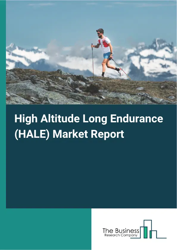 High Altitude Long Endurance (HALE) Market Report 2026 High Altitude Long Endurance (HALE) Market Report 2026
