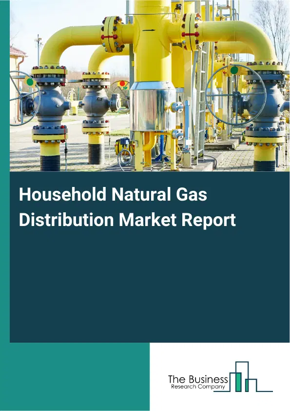 Global Household Natural Gas Distribution Market Report 2026 Global Household Natural Gas Distribution Market Report 2026