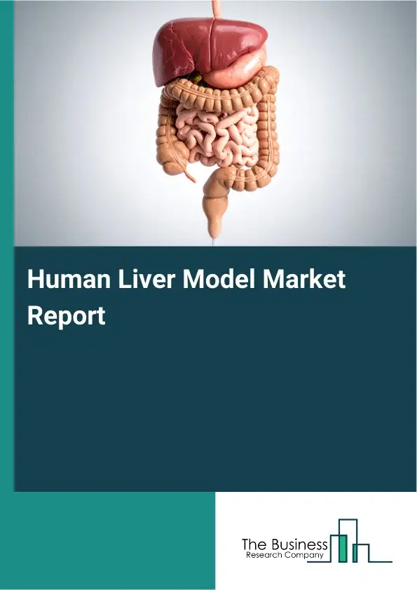 Global Human Liver Model Market Report 2026 Global Human Liver Model Market Report 2026