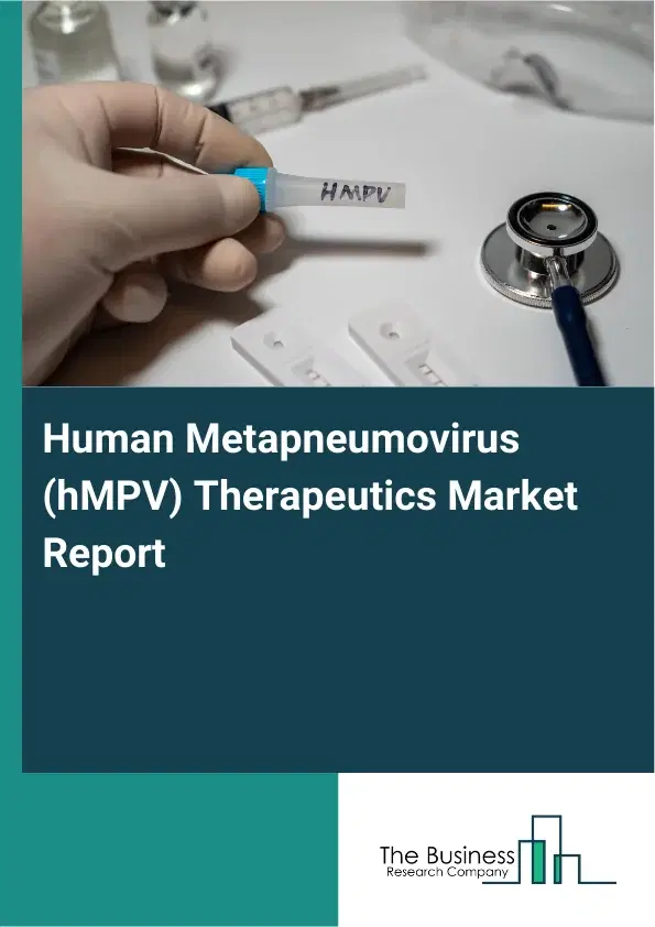 Global Human Metapneumovirus (hMPV) Therapeutics Market Report 2026 Global Human Metapneumovirus (hMPV) Therapeutics Market Report 2026