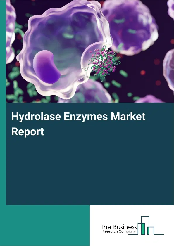 Global Hydrolase Enzymes Market Report 2026 Global Hydrolase Enzymes Market Report 2026