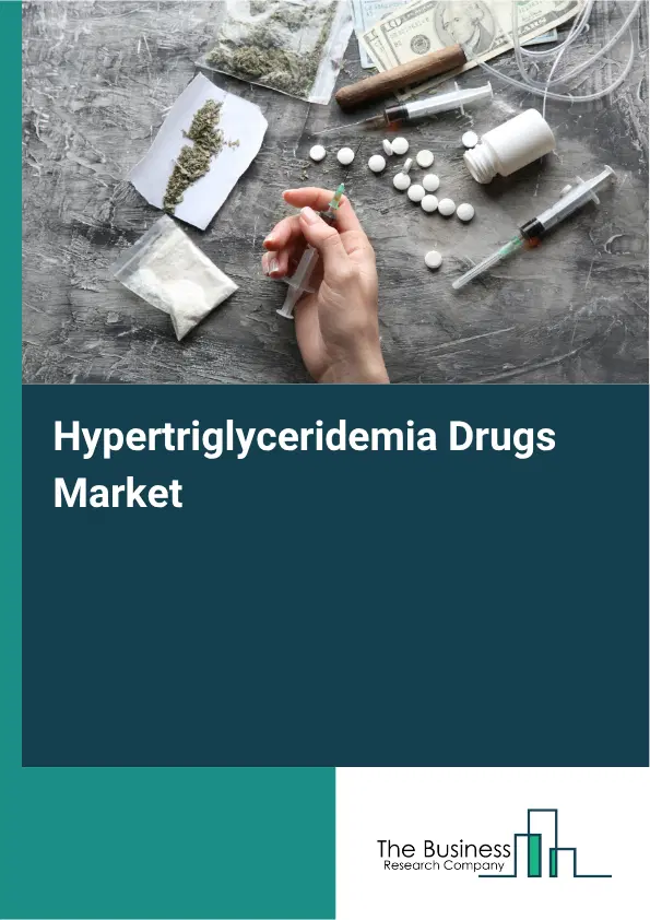 Hypertriglyceridemia Drugs Market Report 2026 Hypertriglyceridemia Drugs Market Report 2026