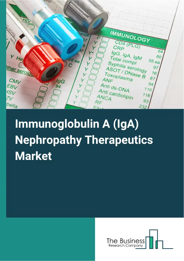 Immunoglobulin A (IgA) Nephropathy Therapeutics Market Report 2026 Immunoglobulin A (IgA) Nephropathy Therapeutics Market Report 2026