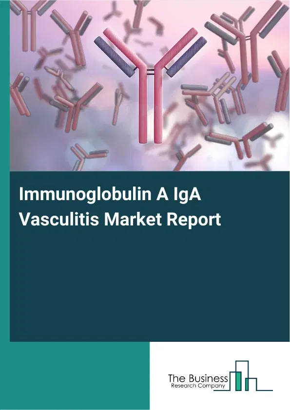 Global Immunoglobulin A IgA Vasculitis Market Report 2026 Global Immunoglobulin A IgA Vasculitis Market Report 2026