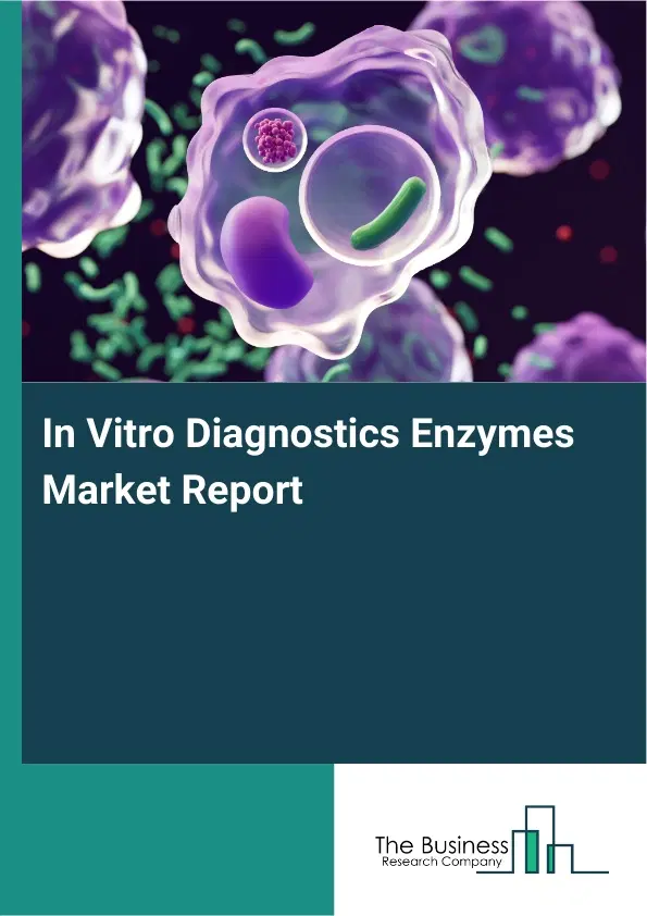 Global In Vitro Diagnostics Enzymes Market Report 2026 Global In Vitro Diagnostics Enzymes Market Report 2026