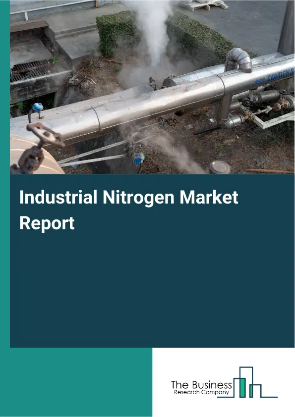 Global Industrial Nitrogen Market Report 2026 Global Industrial Nitrogen Market Report 2026