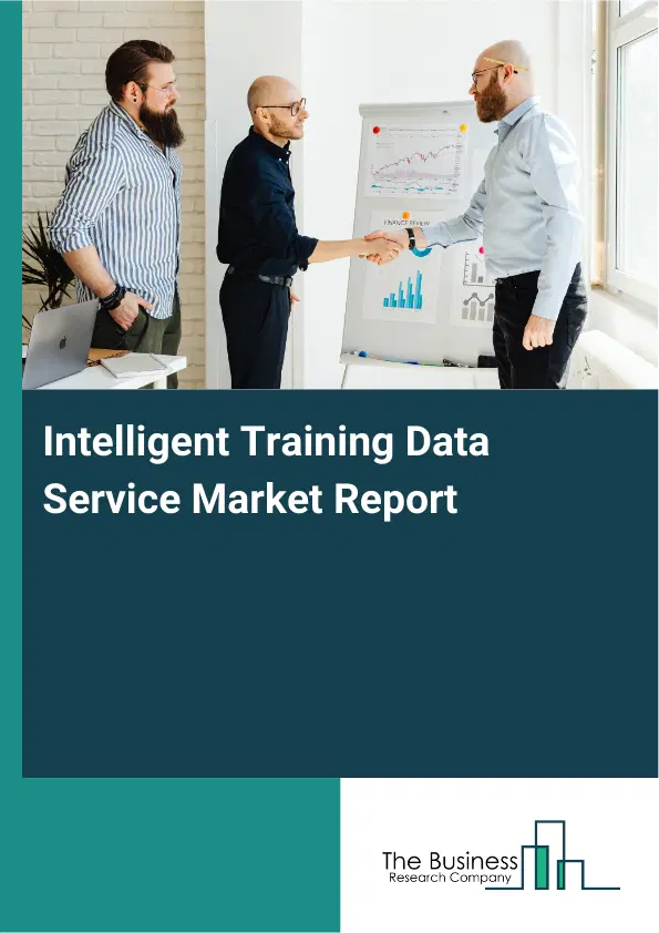 Global Intelligent Training Data Service Market Report 2026 Global Intelligent Training Data Service Market Report 2026
