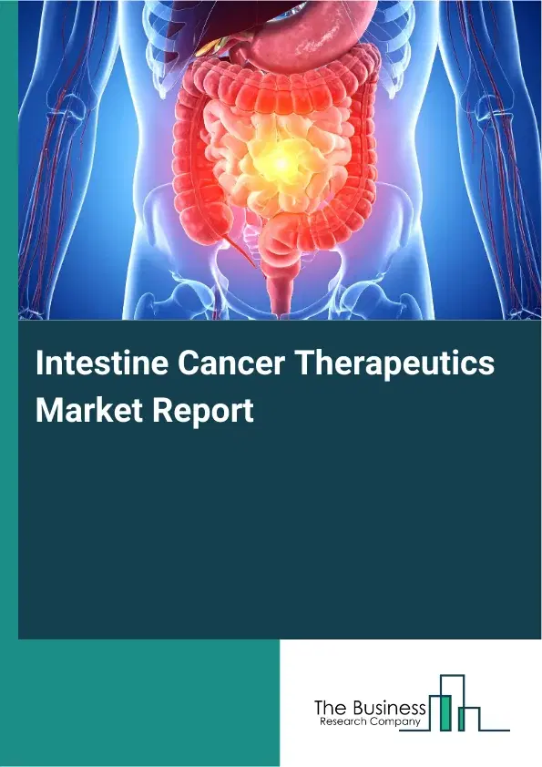 Global Intestine Cancer Therapeutics Market Report 2026 Global Intestine Cancer Therapeutics Market Report 2026