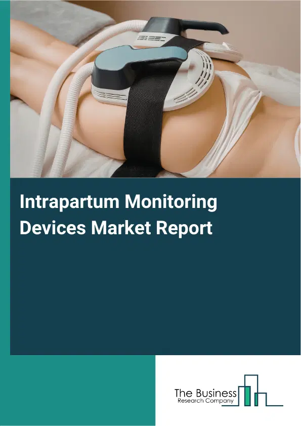 Global Intrapartum Monitoring Devices Market Report 2026 Global Intrapartum Monitoring Devices Market Report 2026