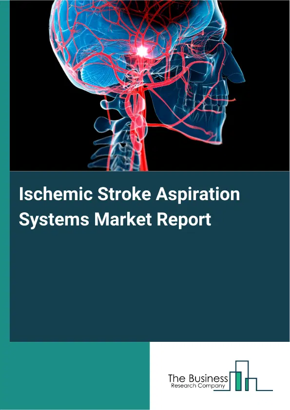 Global Ischemic Stroke Aspiration Systems Market Report 2026 Global Ischemic Stroke Aspiration Systems Market Report 2026