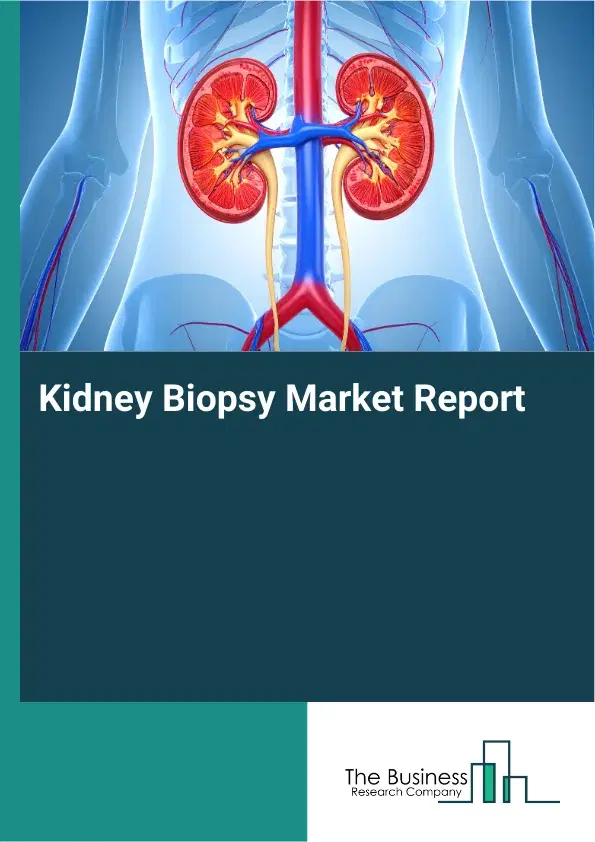 Global Kidney Biopsy Market Report 2026 Global Kidney Biopsy Market Report 2026