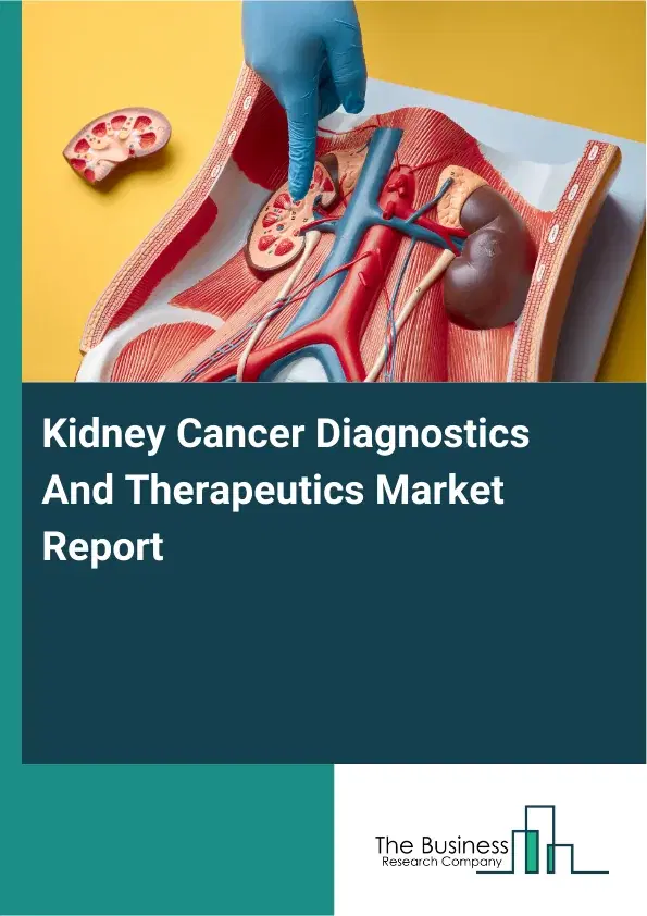 Global Kidney Cancer Diagnostics And Therapeutics Market Report 2026 Global Kidney Cancer Diagnostics And Therapeutics Market Report 2026