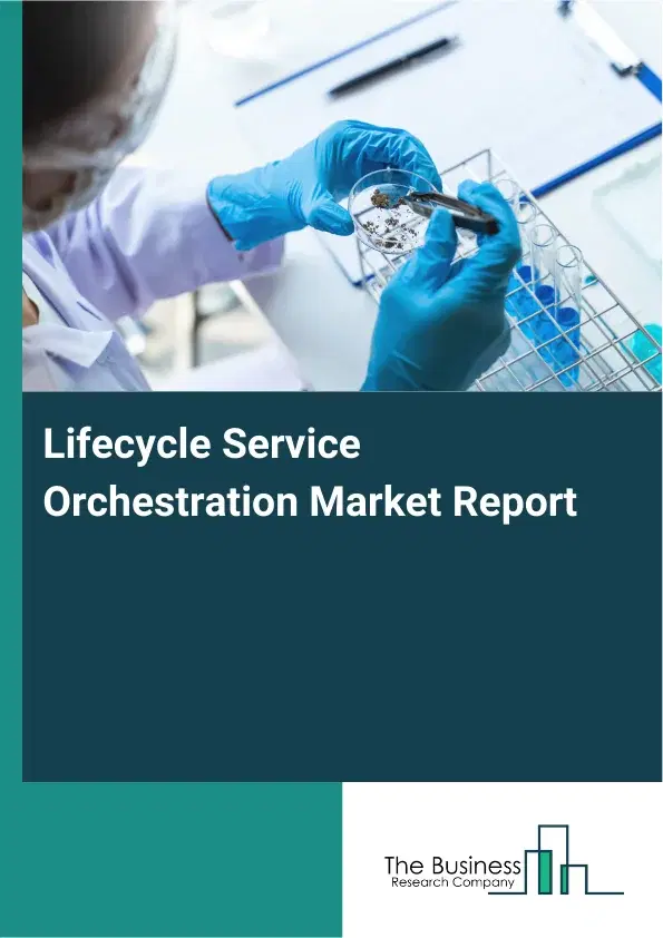 Global Lifecycle Service Orchestration Market Report 2026 Global Lifecycle Service Orchestration Market Report 2026
