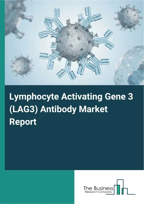 Global Lymphocyte Activating Gene 3 (LAG3) Antibody Market Report 2026 Global Lymphocyte Activating Gene 3 (LAG3) Antibody Market Report 2026