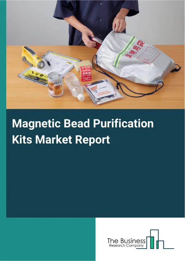 Global Magnetic Bead Purification Kits Market Report 2026 Global Magnetic Bead Purification Kits Market Report 2026