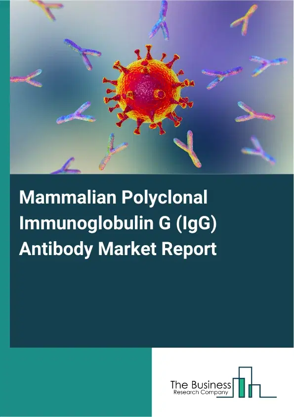 Global Mammalian Polyclonal Immunoglobulin G (IgG) Antibody Market Report 2026 Global Mammalian Polyclonal Immunoglobulin G (IgG) Antibody Market Report 2026