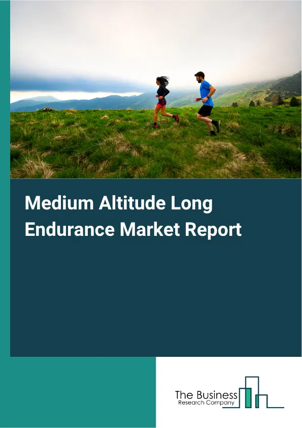 Medium Altitude Long Endurance Market Report 2026 Medium Altitude Long Endurance Market Report 2026