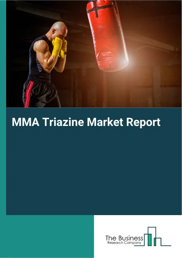Global MMA Triazine Market Report 2026 Global MMA Triazine Market Report 2026