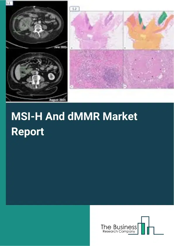 Global MSI-H And dMMR Market Report 2026 Global MSI-H And dMMR Market Report 2026