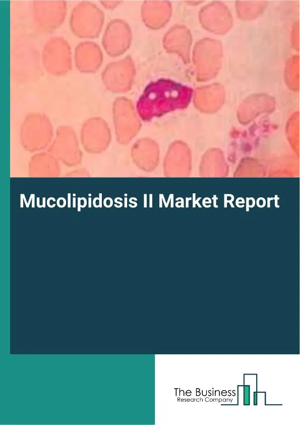 Global Mucolipidosis II Market Report 2026 Global Mucolipidosis II Market Report 2026
