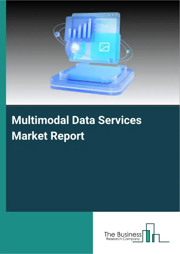 Global Multimodal Data Services Market Report 2026 Global Multimodal Data Services Market Report 2026
