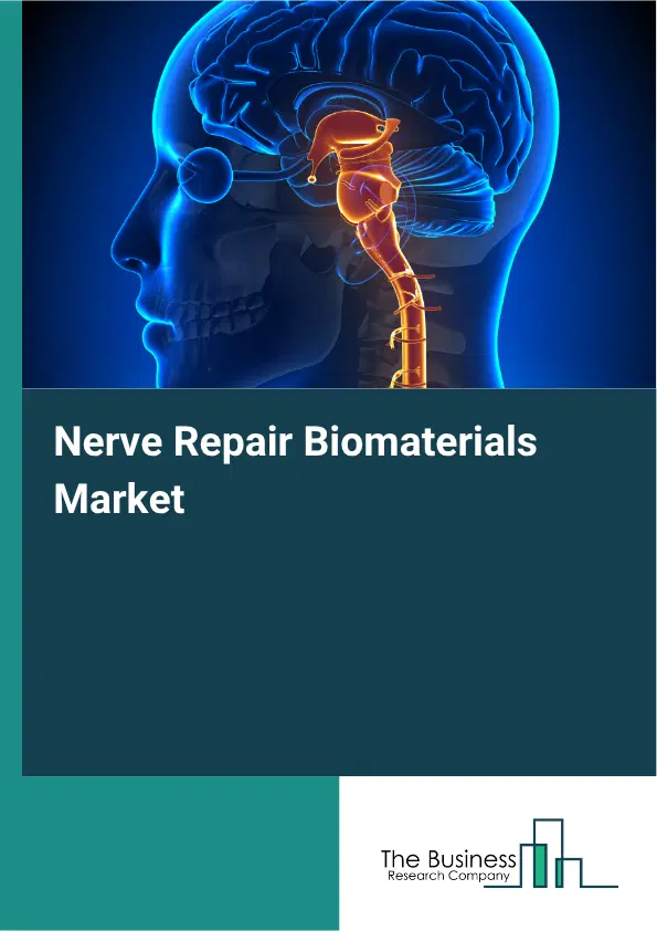 Nerve Repair Biomaterials Market Report 2026 Nerve Repair Biomaterials Market Report 2026