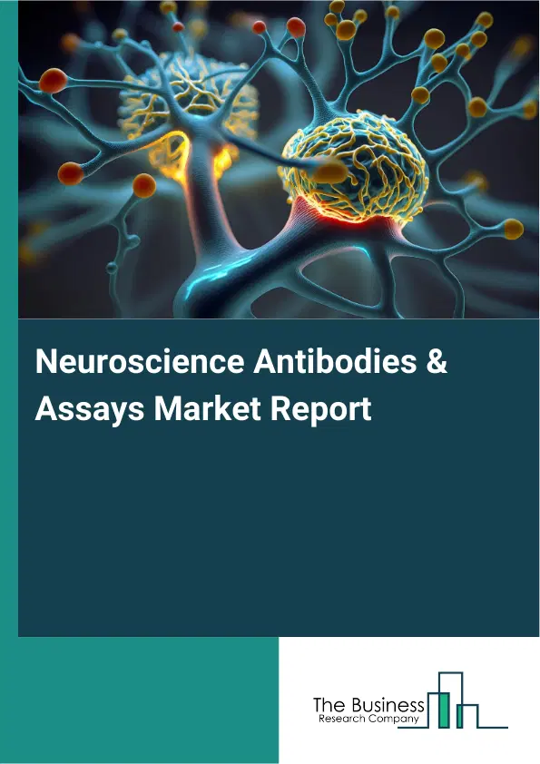 Global Neuroscience Antibodies & Assays Market Report 2026 Global Neuroscience Antibodies & Assays Market Report 2026