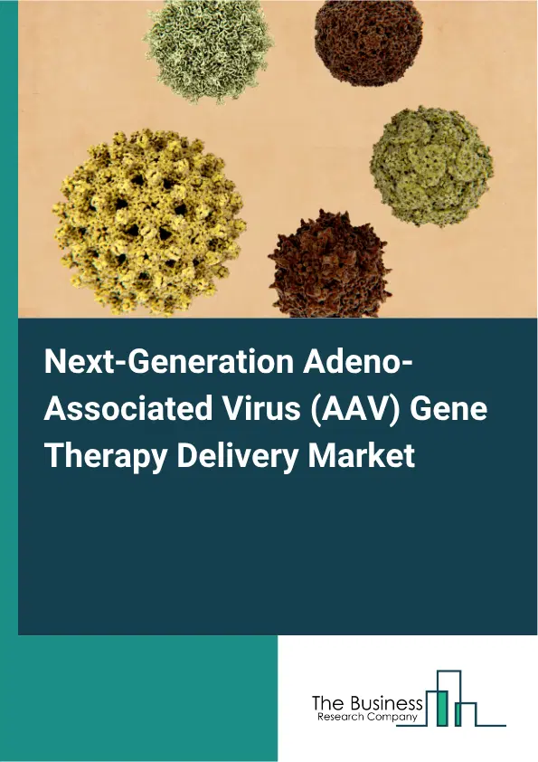 Next-Generation Adeno-Associated Virus (AAV) Gene Therapy Delivery Market Report 2026 Next-Generation Adeno-Associated Virus (AAV) Gene Therapy Delivery Market Report 2026