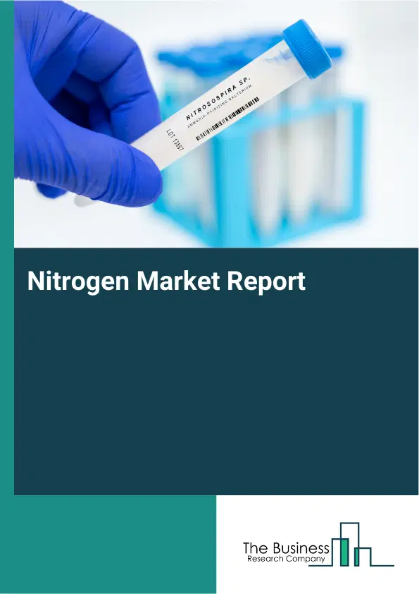 Global Nitrogen Market Report 2026 Global Nitrogen Market Report 2026