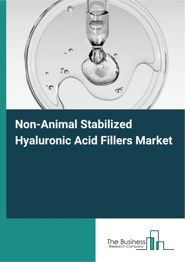 Non-Animal Stabilized Hyaluronic Acid Fillers Market Report 2026 Non-Animal Stabilized Hyaluronic Acid Fillers Market Report 2026