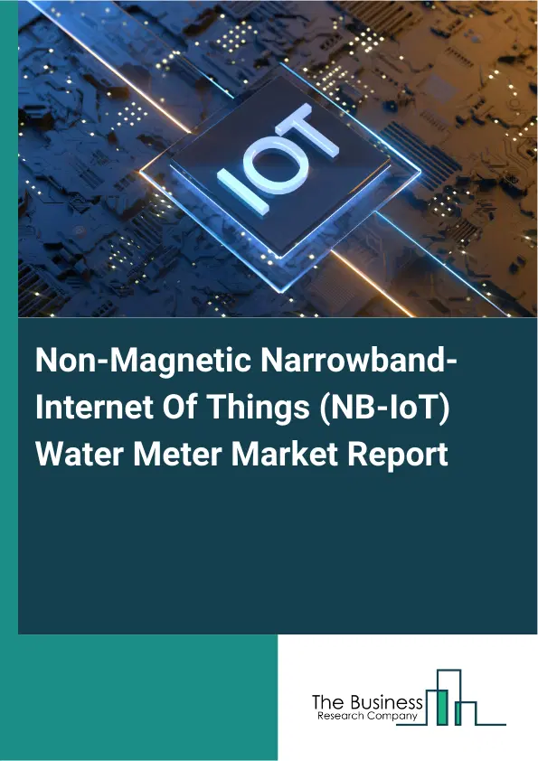 Non-Magnetic Narrowband-Internet Of Things (NB-IoT) Water Meter Market Report 2026 Non-Magnetic Narrowband-Internet Of Things (NB-IoT) Water Meter Market Report 2026