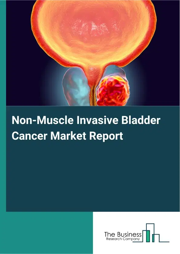 Global Non-Muscle Invasive Bladder Cancer Market Report 2026 Global Non-Muscle Invasive Bladder Cancer Market Report 2026