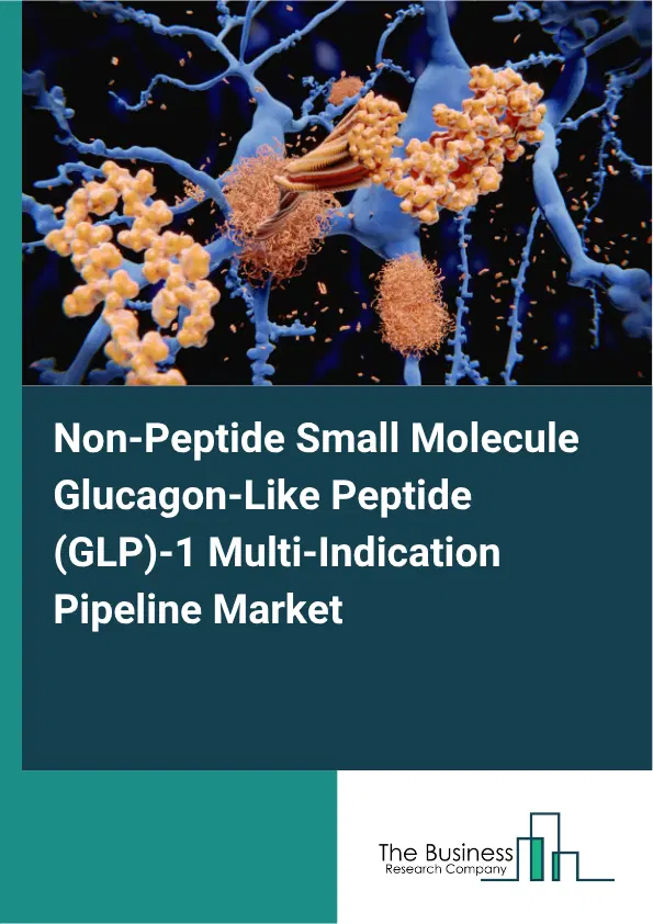Non-Peptide Small Molecule Glucagon-Like Peptide (GLP)-1 Multi-Indication Pipeline Market Report 2026 Non-Peptide Small Molecule Glucagon-Like Peptide (GLP)-1 Multi-Indication Pipeline Market Report 2026
