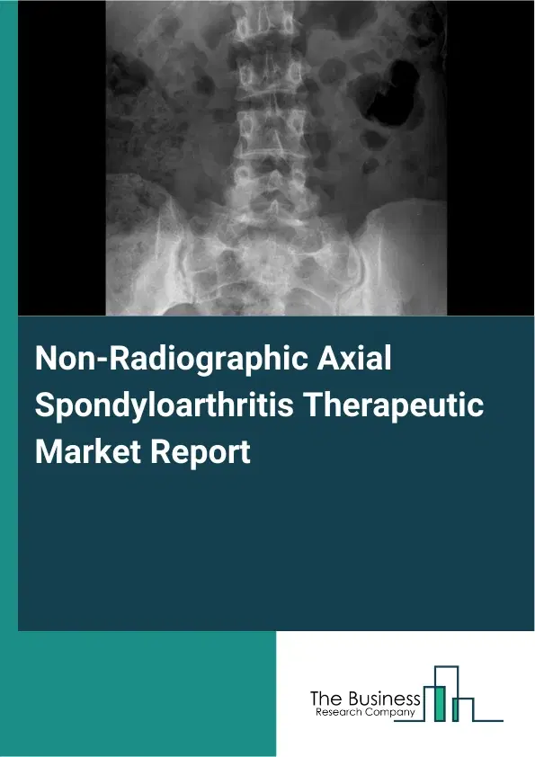 Global Non-Radiographic Axial Spondyloarthritis Therapeutic Market Report 2026 Global Non-Radiographic Axial Spondyloarthritis Therapeutic Market Report 2026